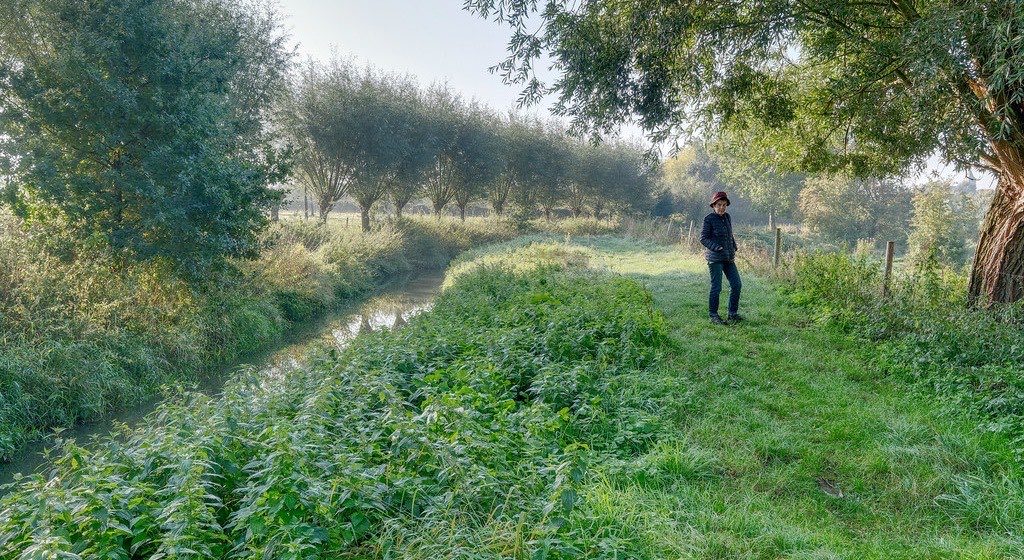 A person pauses on a quiet, tree-lined path beside a stream in soft early-morning light.